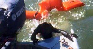 A Fisherman Threw His Life-Jacket To Save Drowning Dog, But
Was “Not-A-Dog” At All