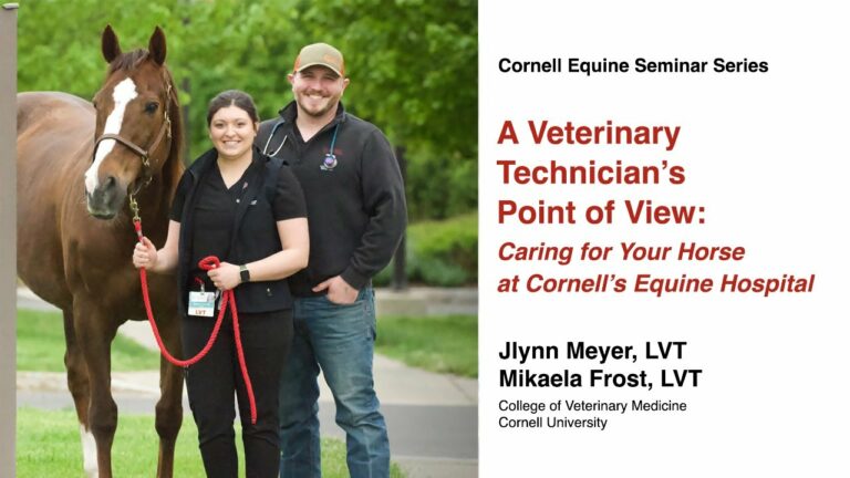 A Veterinary Technician's POV: Caring for Your Horse at
Cornell’s Equine Hospital (May 2024)