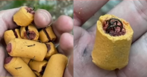 Dangerous Dog Treats Filled With Fish Hooks Discovered On
Trails, Officials Warn