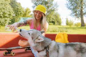 How Do Dogs Drink Water?