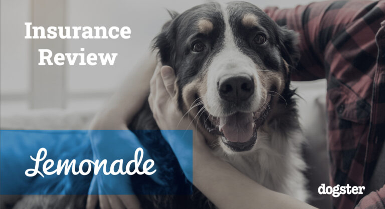 Lemonade Pet Insurance Review 2024: Pros, Cons &amp;
Verdict