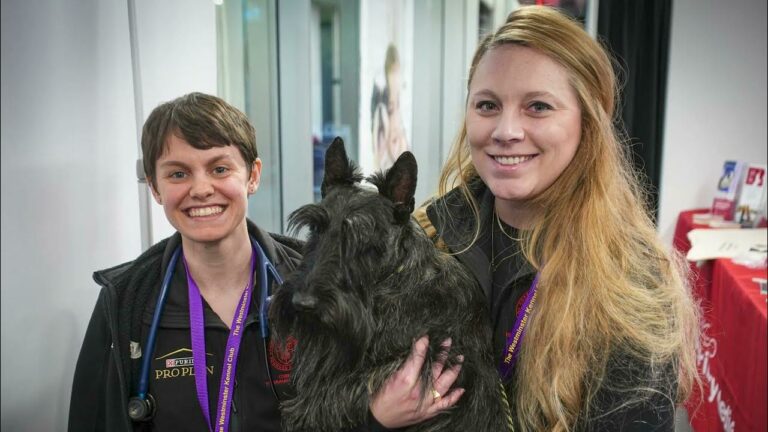 Riney Canine Health Center: 2024 Westminster Kennel Club Dog
Show Recap