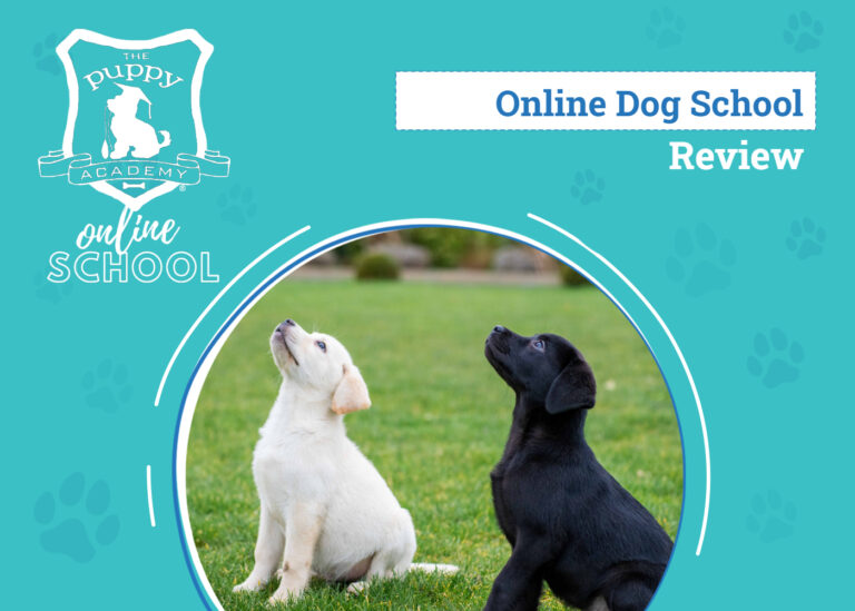 The Puppy Academy Online School Review 2024: An Expert’s
Breakdown