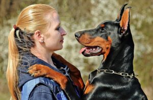 8 Most Bold &amp; Courageous Dog Breeds