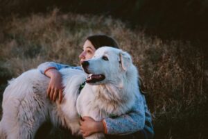 9 Most Protective &amp; Loyal Dog Breeds