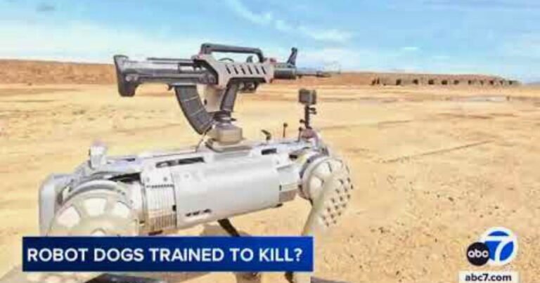 China’s Military Reveals Robot Dog Armed with a
Rifle