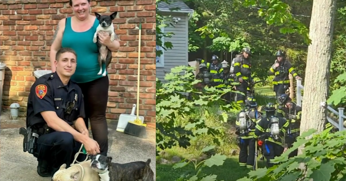 County Officer Heroically Rescues Three Dogs from Burning
Home