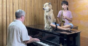 Dad and Daughter’s Cute ‘Moon River’ Performance for Their
Dog Wins Hearts