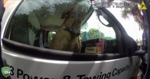 Dog Left in Sweltering U-Haul While Owners Visit
Beach