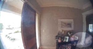 Family’s Security Camera Captures Deceased Dog’s Spirit
Stopping By For A Visit