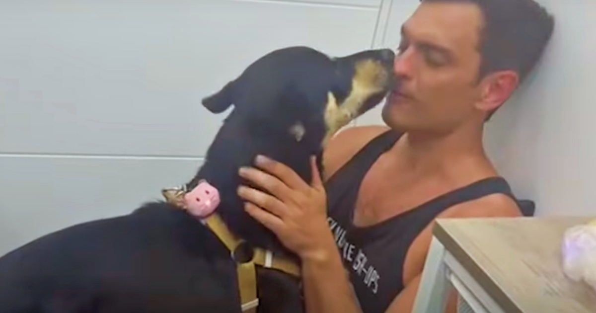 Guy Relies On ‘Faith And Heart’ To Save Dog From The Grimy
Streets