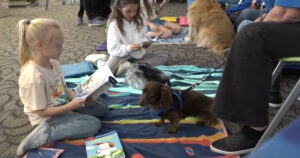 In The News: Therapy Dogs Make Reading Fun for Kids