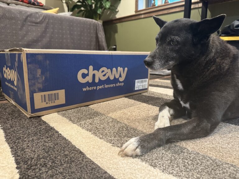 Lorraina and the Chewy Box: An Unhealthy
Relationship