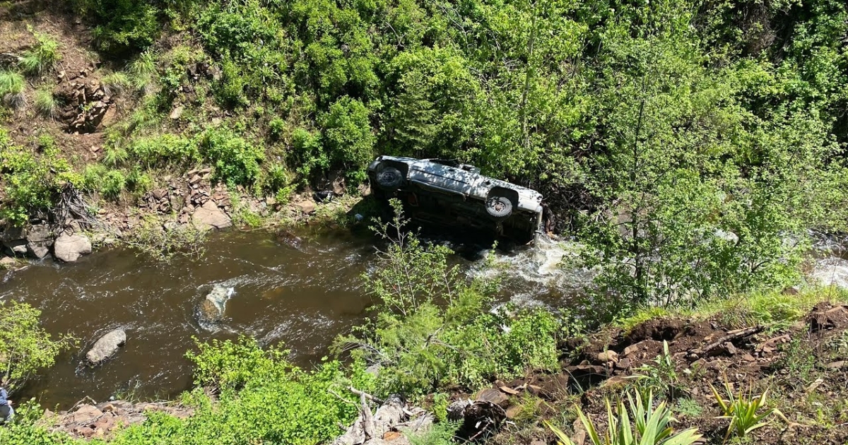 Man Drives into Ravine, His Dog Walks 4 Miles to Get
Help