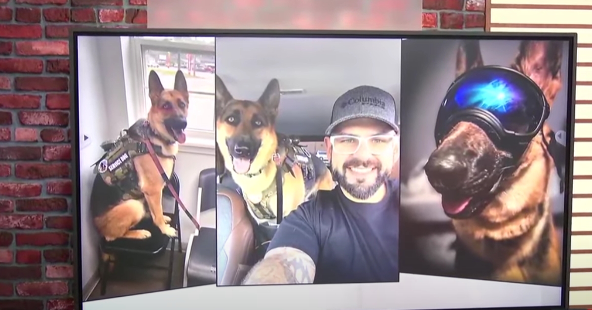 Navy Vet Won’t Give Up: Searching Everywhere for His Lost
Service Dog