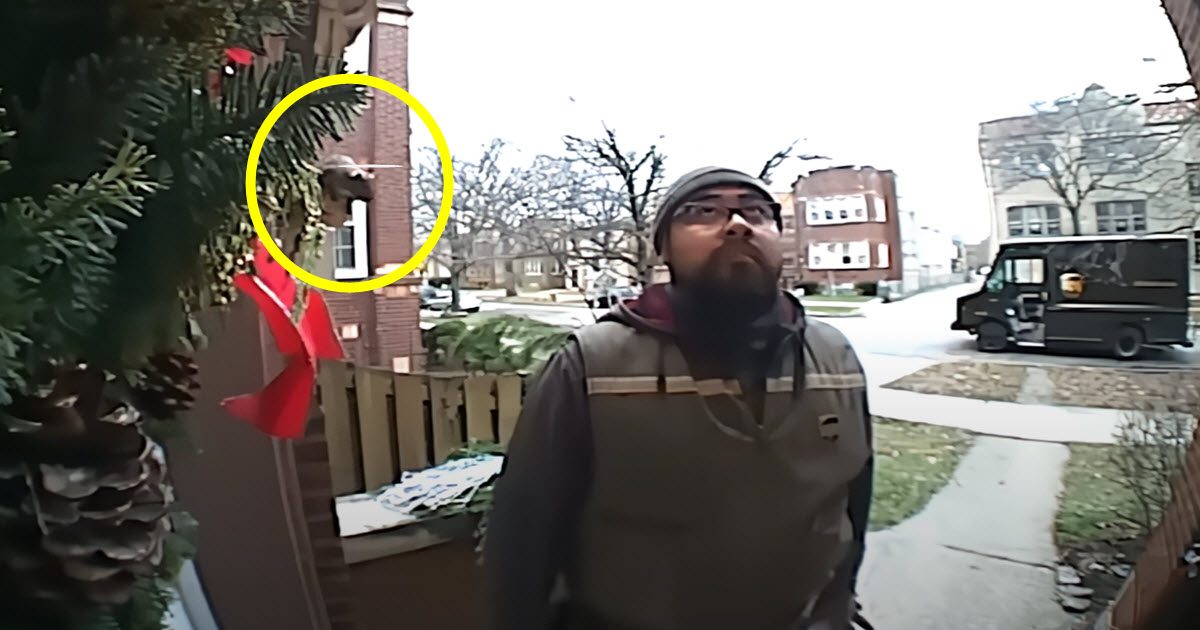 UPS Driver Has ‘Unexpected’ Encounter, And It Was All
Captured on Camera