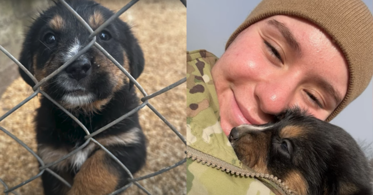 U.S. Army Veteran ‘Joyfully’ Reunites with Stray Puppy She
Cared for During Overseas Deployment