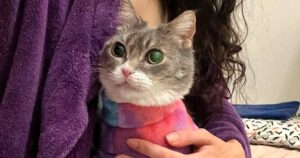 Woman Rescued Sickly Cat Feared It Was Too
Late  