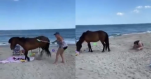 Woman ‘Whacked’ Wild Horse With Shovel And Did Not Expect To
Receive “Instant Karma”